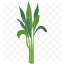 Water Spinach Veggies Food Icon