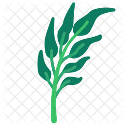 Water spinach  Icon