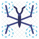 Water Strider Bug  Icon