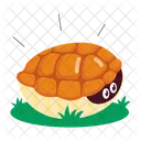 Turtle Cartoon Turtle Stickers Tortoise Cartoon Icon