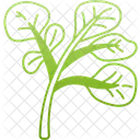 Watercress Veggie Leaf Icon