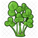 Watercress  Icon