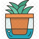Watering Pot Automatic Icon