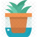 Watering Pot Automatic Icon