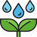 Watering Plant Rain Icon