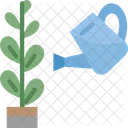 Watering Plant Gardening Icon