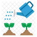 Watering Can Plant Icon