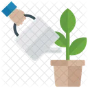 Watering Plant Planting Plant Growth Icon
