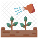 Watering Plant  Icon