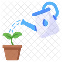 Watering Plant Icon