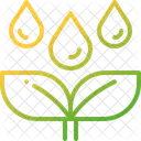 Watering plant  Icon