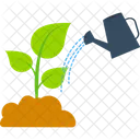 Watering plant  Icon
