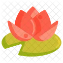 Waterlily Blossom Flower Icon