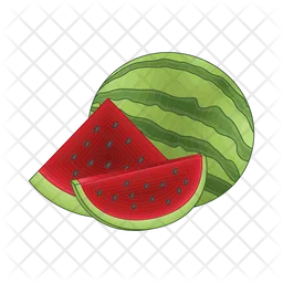 Watermelon  Icon