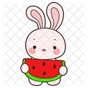 Watermelon  Icon
