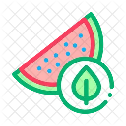 Watermelon  Icon