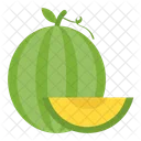Green Melon Fruit Icon