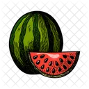 Watermelon Melon Genus Icon