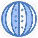 Watermelon  Icon