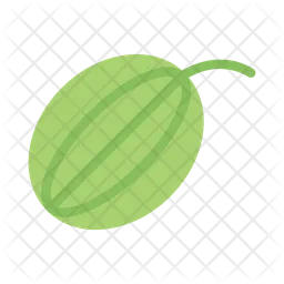 Watermelon  Icon