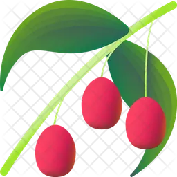 Watermelon berry  Icon