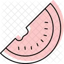 Watermelon Color Shadow Thinline Icon Icon