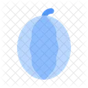 Watermelon  Icon