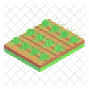 Watermelons Farm  Icône