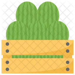 Watermelons In Crate  Icon