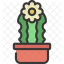 Waved Cactus Plant  Icon