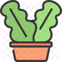 Waved Plant  Icon