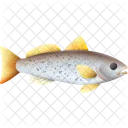 Weakfish Fish Food Icon