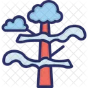 Weather Clouds Tree Icon