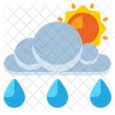 Weather Forecast  Icon