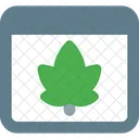 Web Leaf Leaf Maple Icon