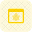 Web Leaf Leaf Maple Icon