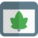 Web Leaf  Icon