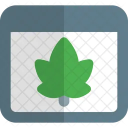 Web Leaf  Icon