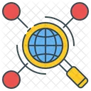 Web Research Magnifying Network Icon