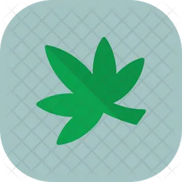 Weed  Icon