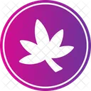 Weed Cannabis Marijuana Icon