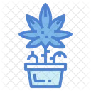 Weed  Icon