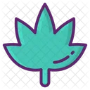 Weed Cannabis  Icon