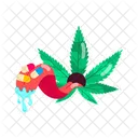 Weed Drug  Icon