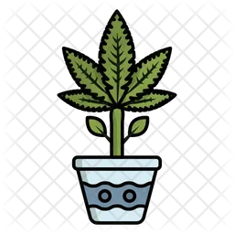 Weed Plant  Icon