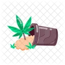 Weed Pot  Icon