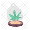 Weed Preservation  Icon