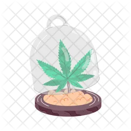 Weed Preservation  Icon