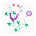Weed Treatment  Icon