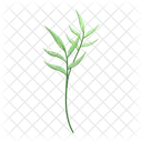 Weeds Herbs Nature Icon